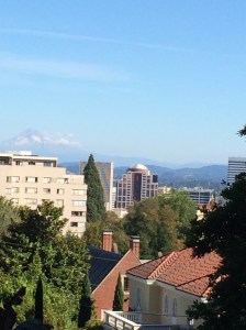 The nice, compact city of Portland. That's Mt. Hood in the background.