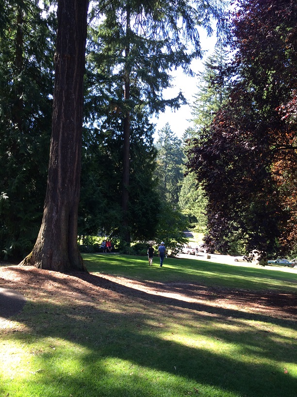 Those tiny figures are Katie and Brent.